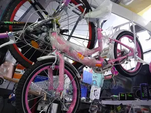 Kids Bike Latest