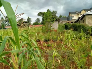 Residential Quarter Acre Plot in Ngong, Maragara. Red Soil