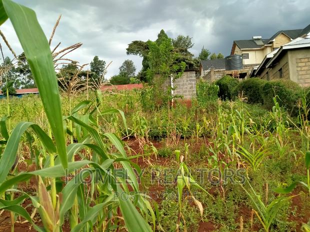 Residential Quarter Acre Plot in Ngong, Maragara. Red Soil - thumbnail 3