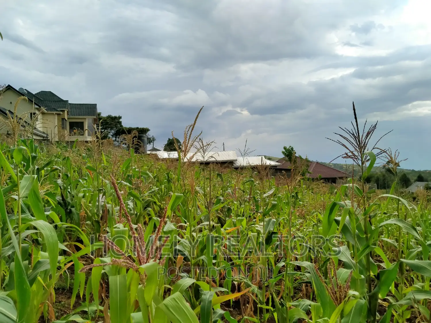 Residential Quarter Acre Plot in Ngong, Maragara. Red Soil