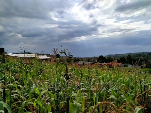 Residential Quarter Acre Plot in Ngong, Maragara. Red Soil - thumbnail 5