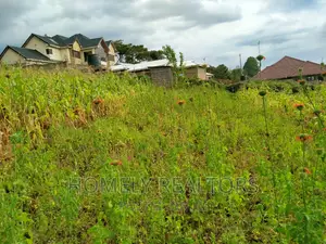 Residential Quarter Acre Plot in Ngong, Maragara. Red Soil