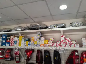 Headlight and Back Lights Available