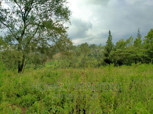 Eighth-Acre (50*100) Plots in Ngong Along Maragara Rd Tarmac - thumbnail 3