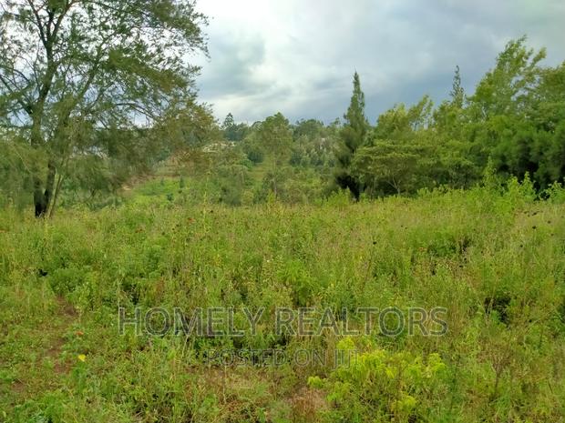 Eighth-Acre (50*100) Plots in Ngong Along Maragara Rd Tarmac - thumbnail 4