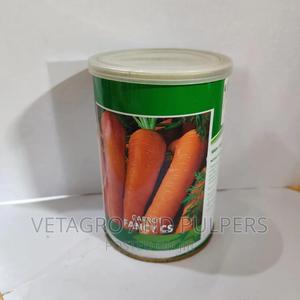 Carrot Fancy Cs Seeds