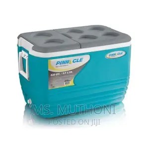 57ltrs Pinnacle Cooler Box