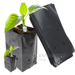 Seedlings Bags For All Trees Avocado, Coffee, Tea, Mango Etc