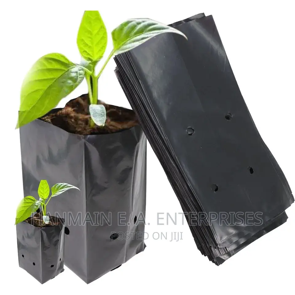 Seedlings Bags For All Trees Avocado, Coffee, Tea, Mango Etc