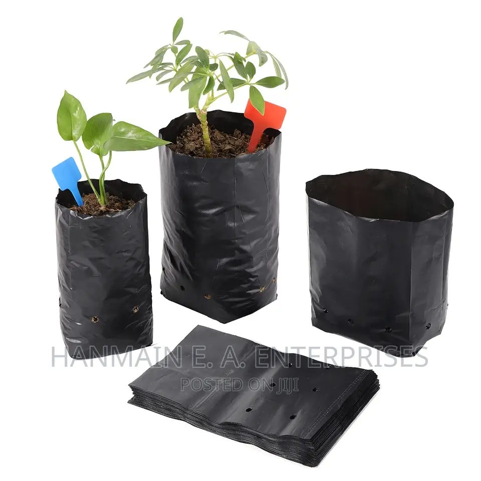 Seedlings Bags For All Trees Avocado, Coffee, Tea, Mango Etc