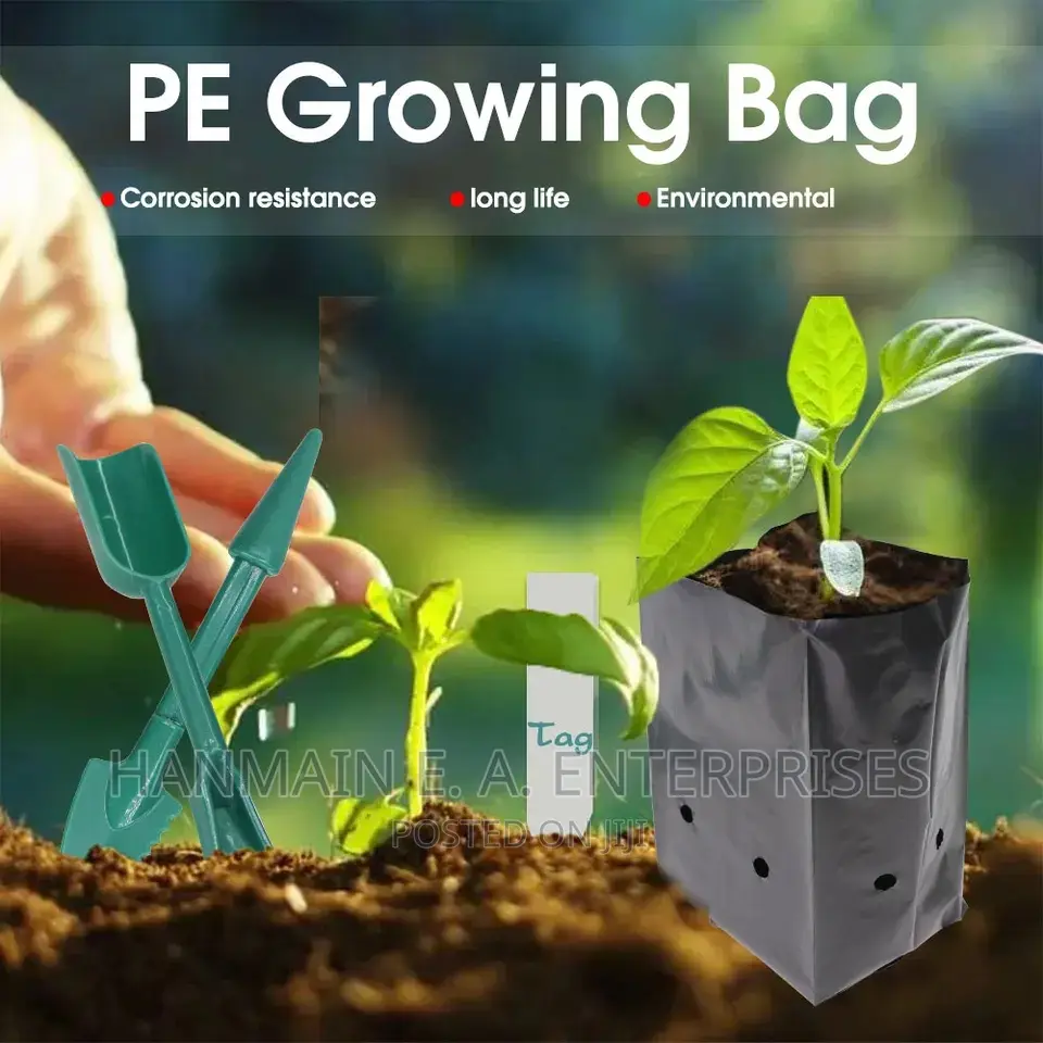 Seedlings Bags For All Trees Avocado, Coffee, Tea, Mango Etc