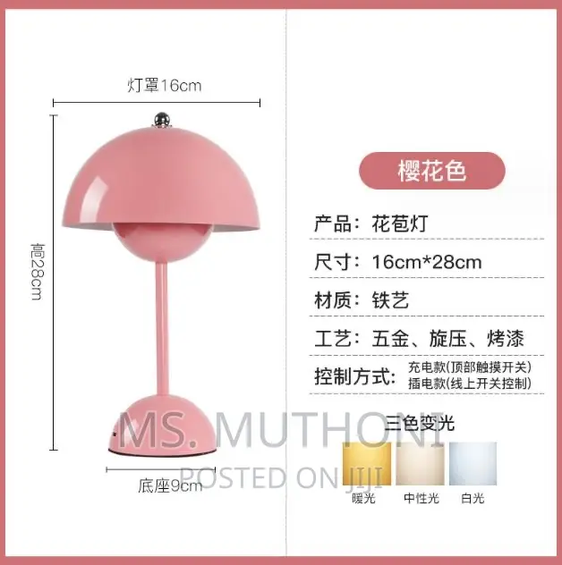 Rechargable Table Lamp*