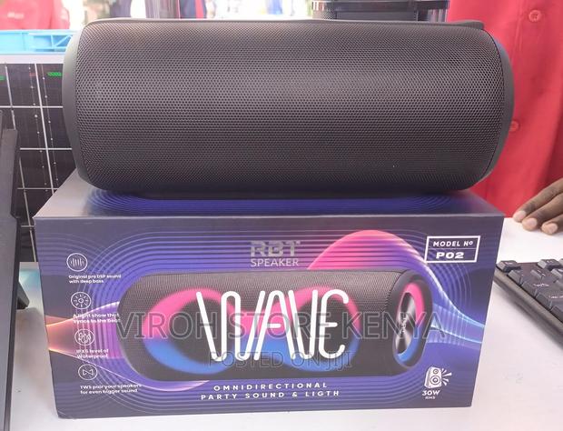RBT Wave Speaker P02 Portable Radio Speaker 30 Watts