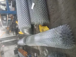 Quality Galvanized Wire Mesh/Chainlink