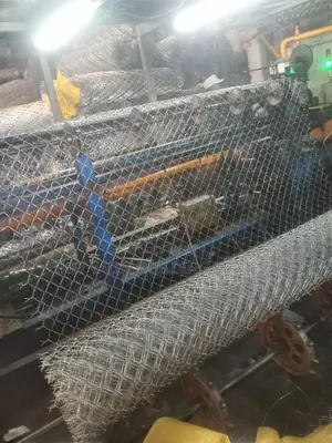Quality Galvanized Wire Mesh/Chainlink