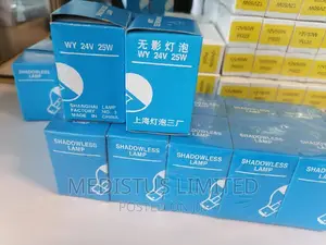 Theatre Bulbs 24V 25W