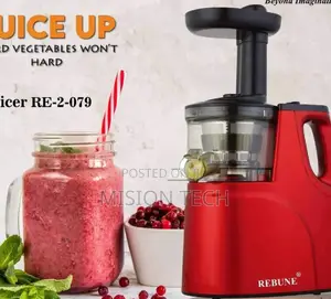 Slow Juicer Rebune Powered DC Motor
