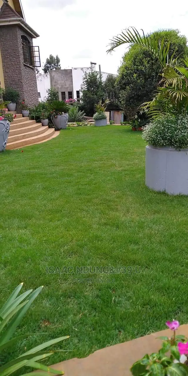 Icecarscade Garden and Landscaping Services
