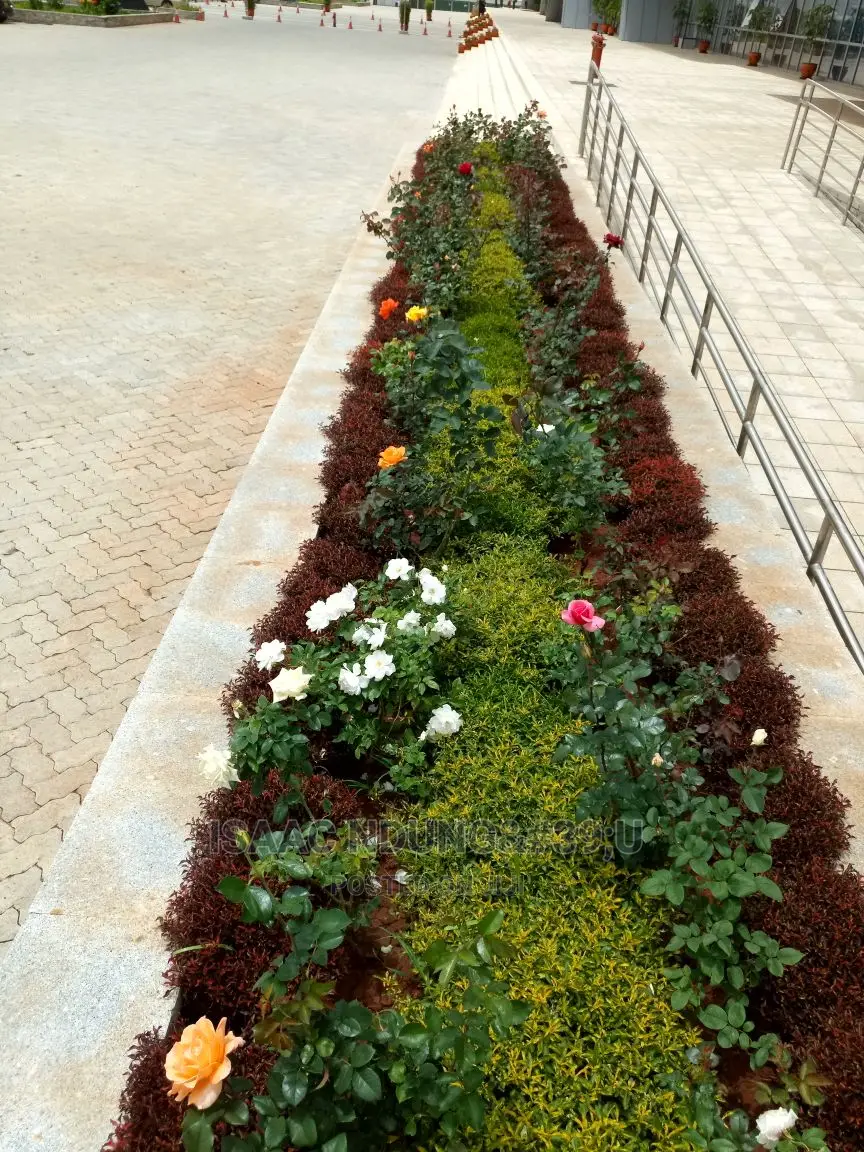 Icecarscade Garden and Landscaping Services