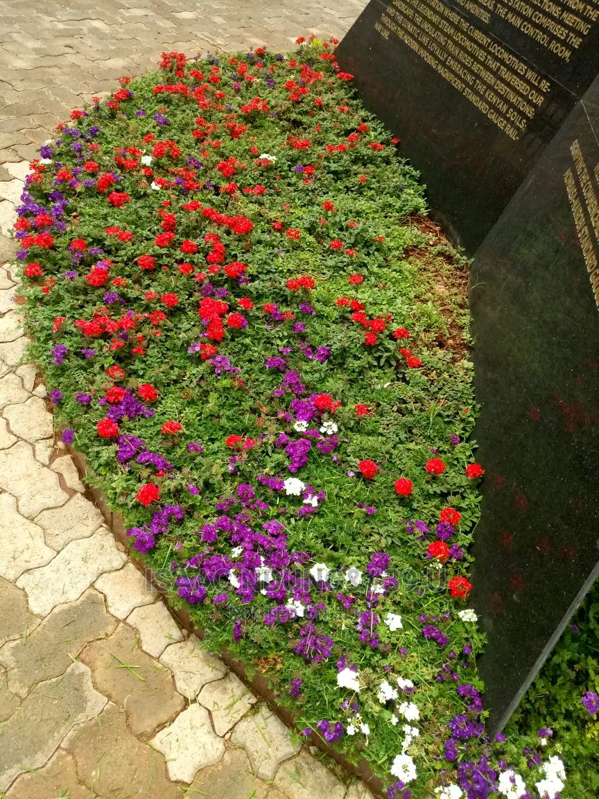 Icecarscade Garden and Landscaping Services