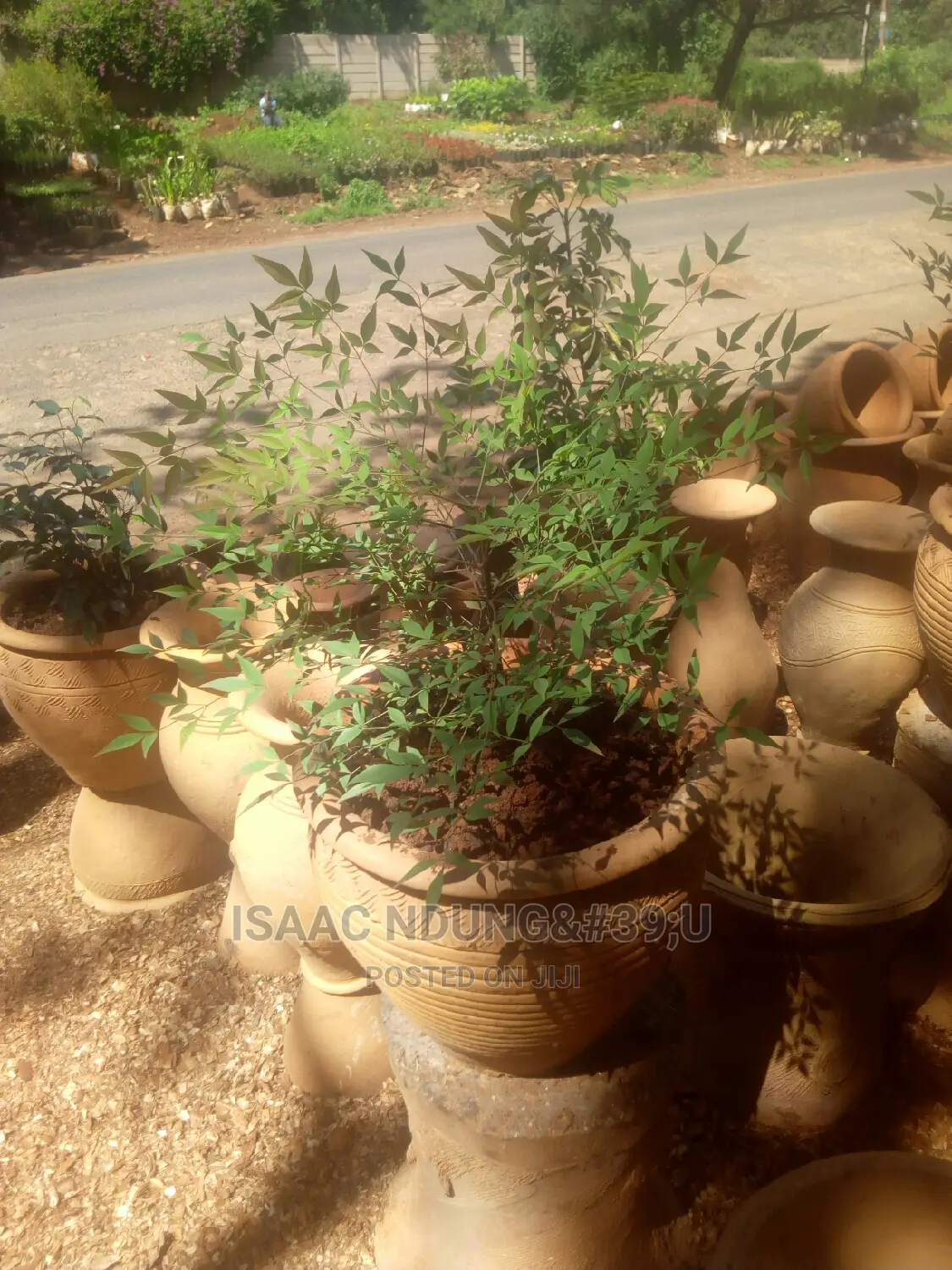 Icecarscade Garden and Landscaping Services