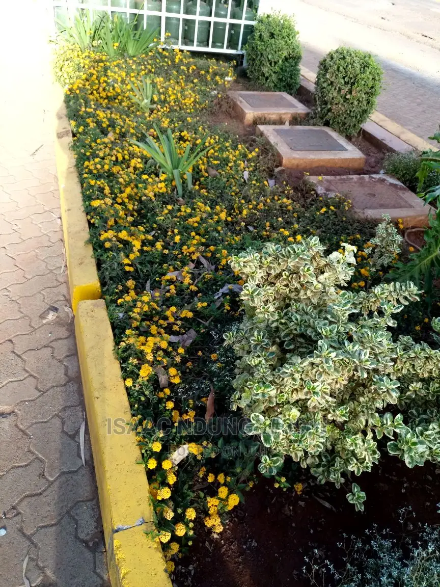 Icecarscade Garden and Landscaping Services