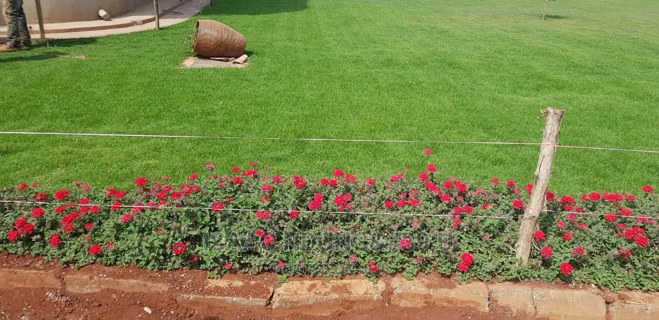 Icecarscade Garden and Landscaping Services