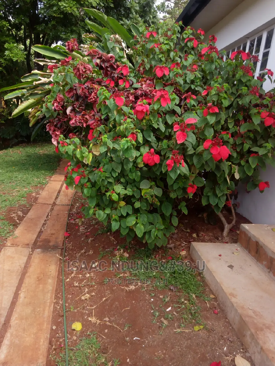 Icecarscade Garden and Landscaping Services