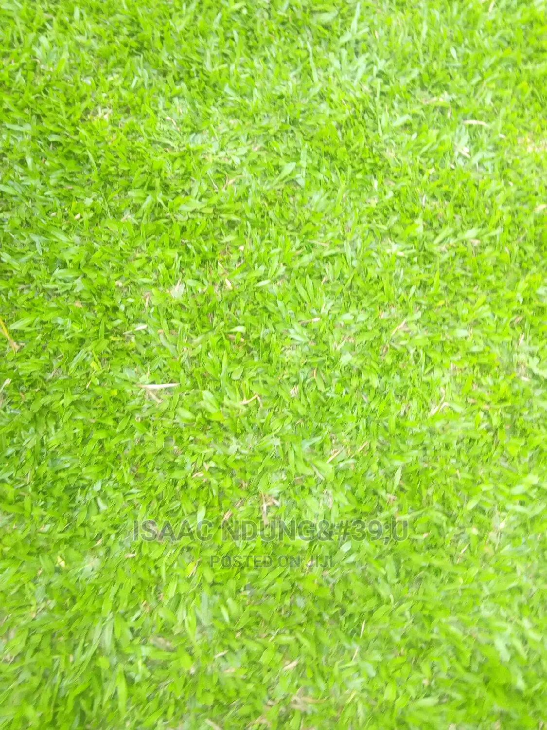 Icecarscade Garden and Landscaping Services