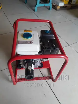 5.5 Hp Concrete Vibrator(Lenhard Germany)