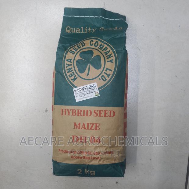 Dh04 Hybrid Maize Seeds 2kg (Simlaw Seeds)