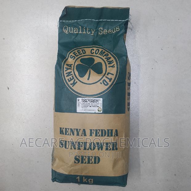 Kenya Fedha Sunflower Seed 1kg