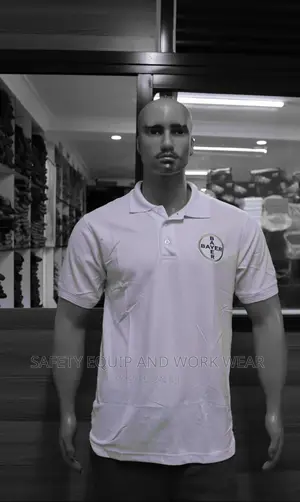 Pollo Shirts at Discounted Price