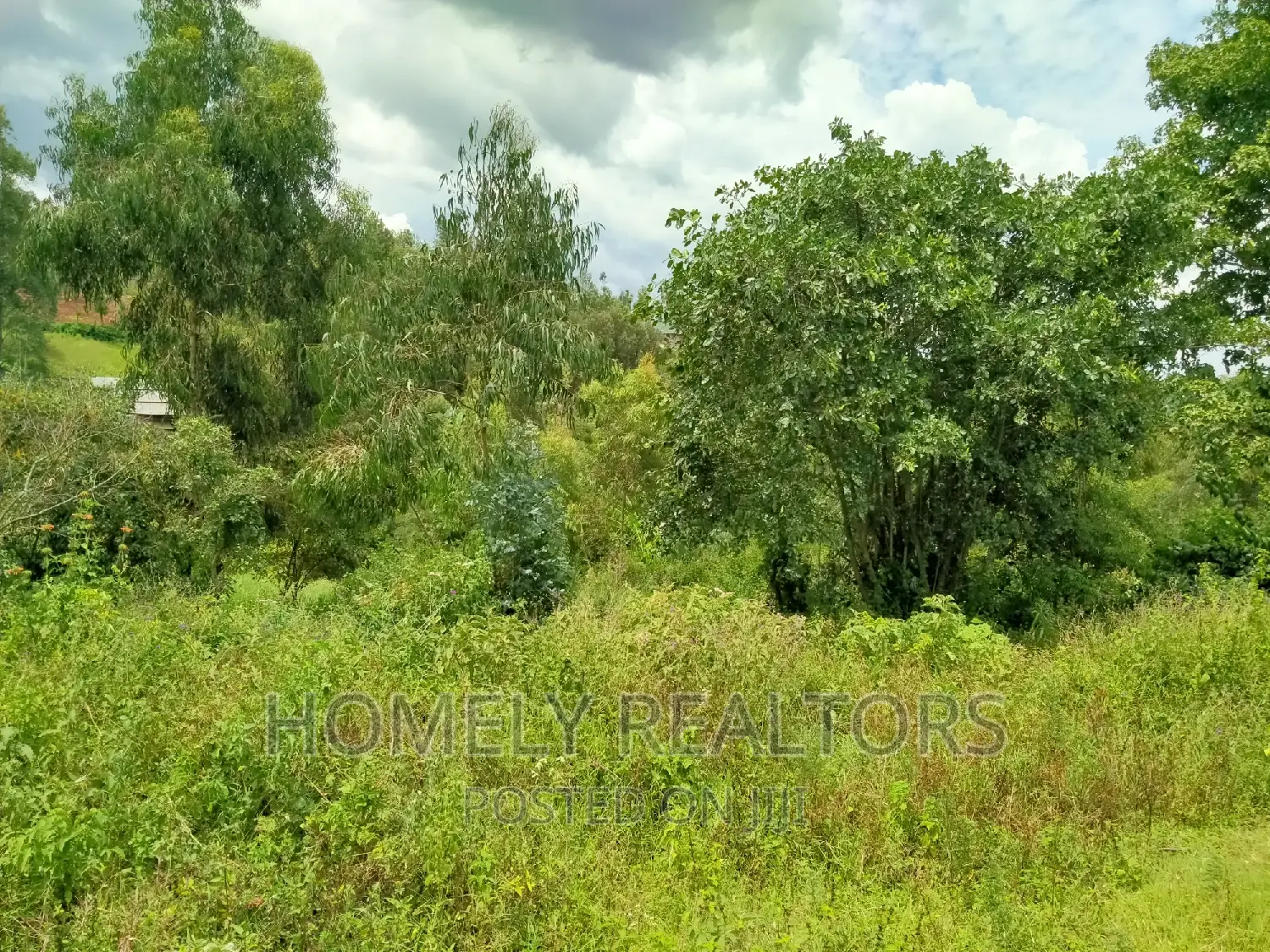 Quarter Acre Plot in Ngong, Moibo Road. Good for Residential