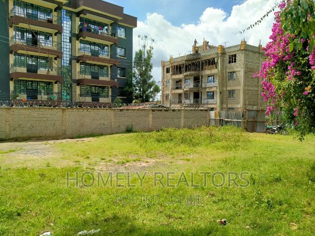 A Full Eighth Acre Plot in Ngong Zambia, 3rd Row From Tarmac - thumbnail 5