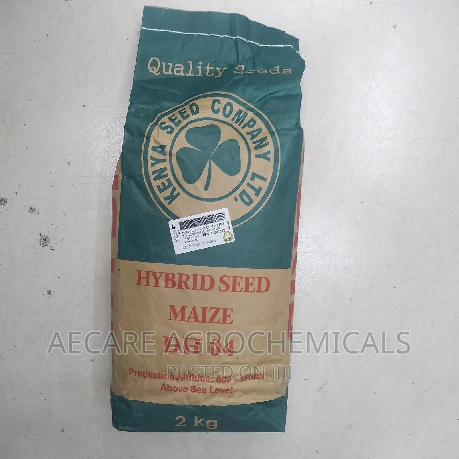 Dh04 Hybrid Maize Seeds 2kg (Simlaw Seeds)
