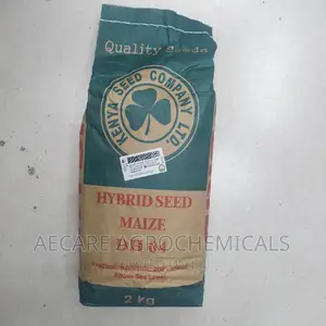 Dh04 Hybrid Maize Seeds 2kg (Simlaw Seeds)