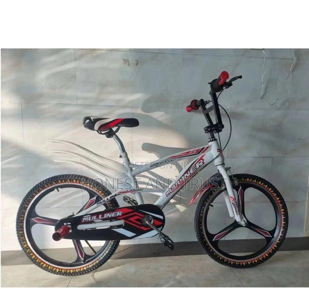 Bike Size 20 - main view