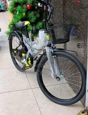 Bike Size 20