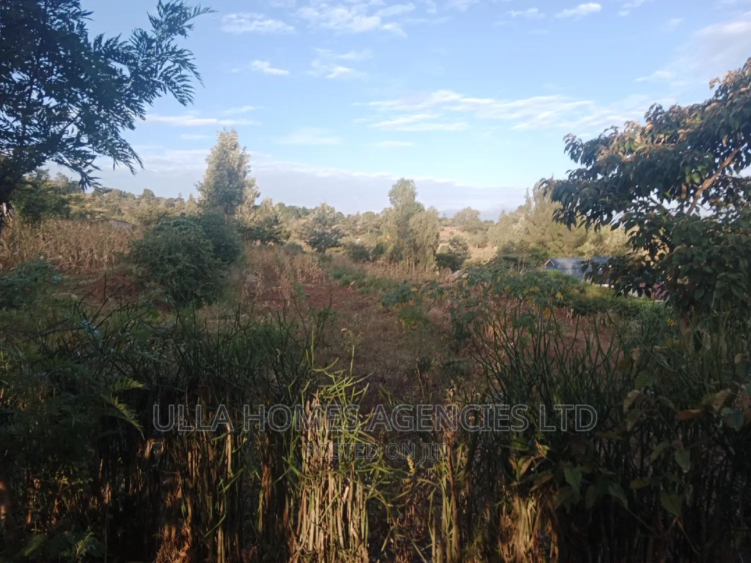 1 Acre in Kimutwa,Kaathi MKS 12from MKS