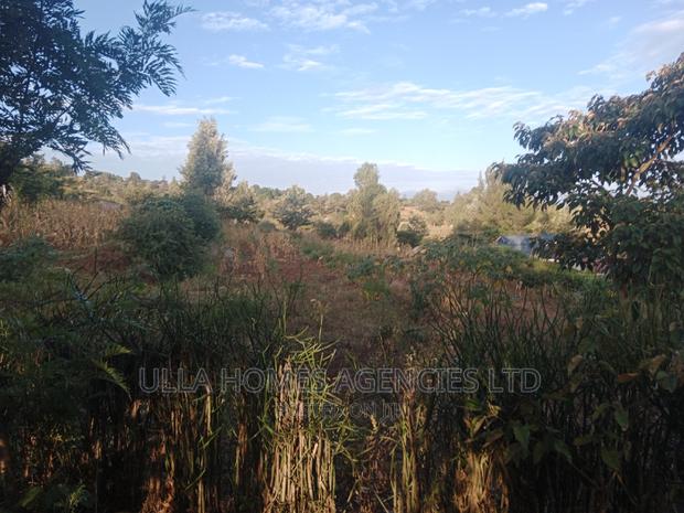 1 Acre in Kimutwa,Kaathi MKS 12from MKS - main view