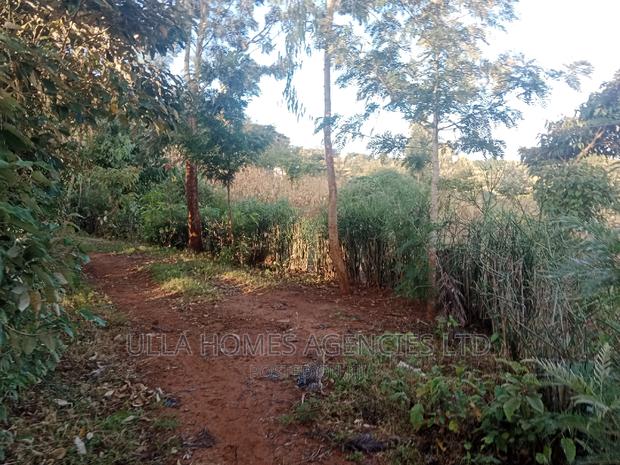 1 Acre in Kimutwa,Kaathi MKS 12from MKS - thumbnail 2