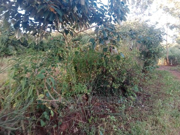 Quarter Acre Plus in Kimutwa Near the Market,800m - thumbnail 2
