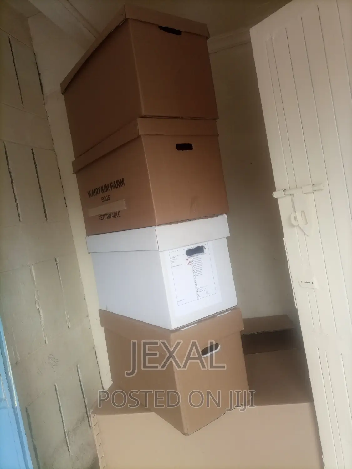 Archival Boxes