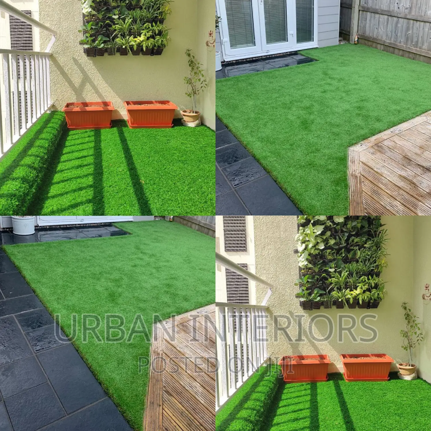 Grass Carpet Grass Carpet Grass Carpet Grass Carpet
