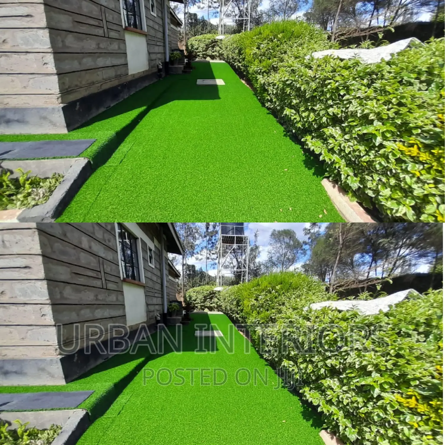 Grass Carpet Grass Carpet Grass Carpet Grass Carpet