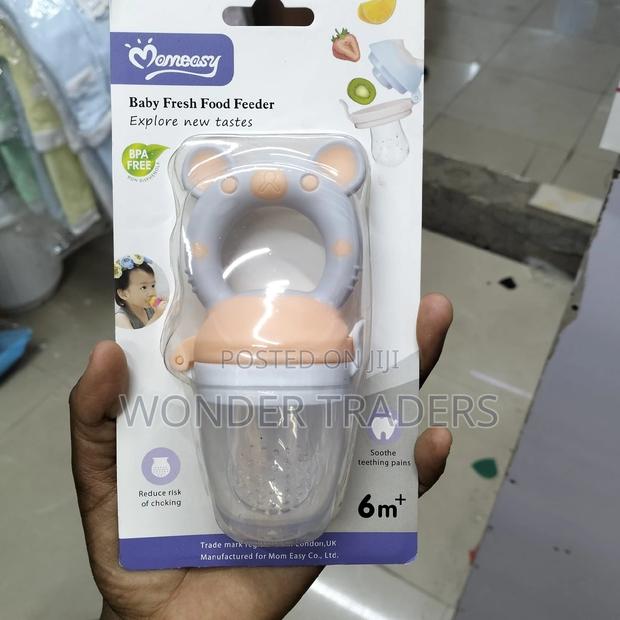 Baby Food Fresh Feeder - main view