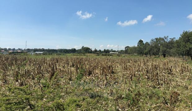 3 Acres at Ngata. 12 KMS From Nakuru Cbd. 1st Plot From Highway A104 - main view