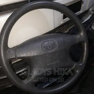 Ex Japan Steering Wheel for Fielder 2000