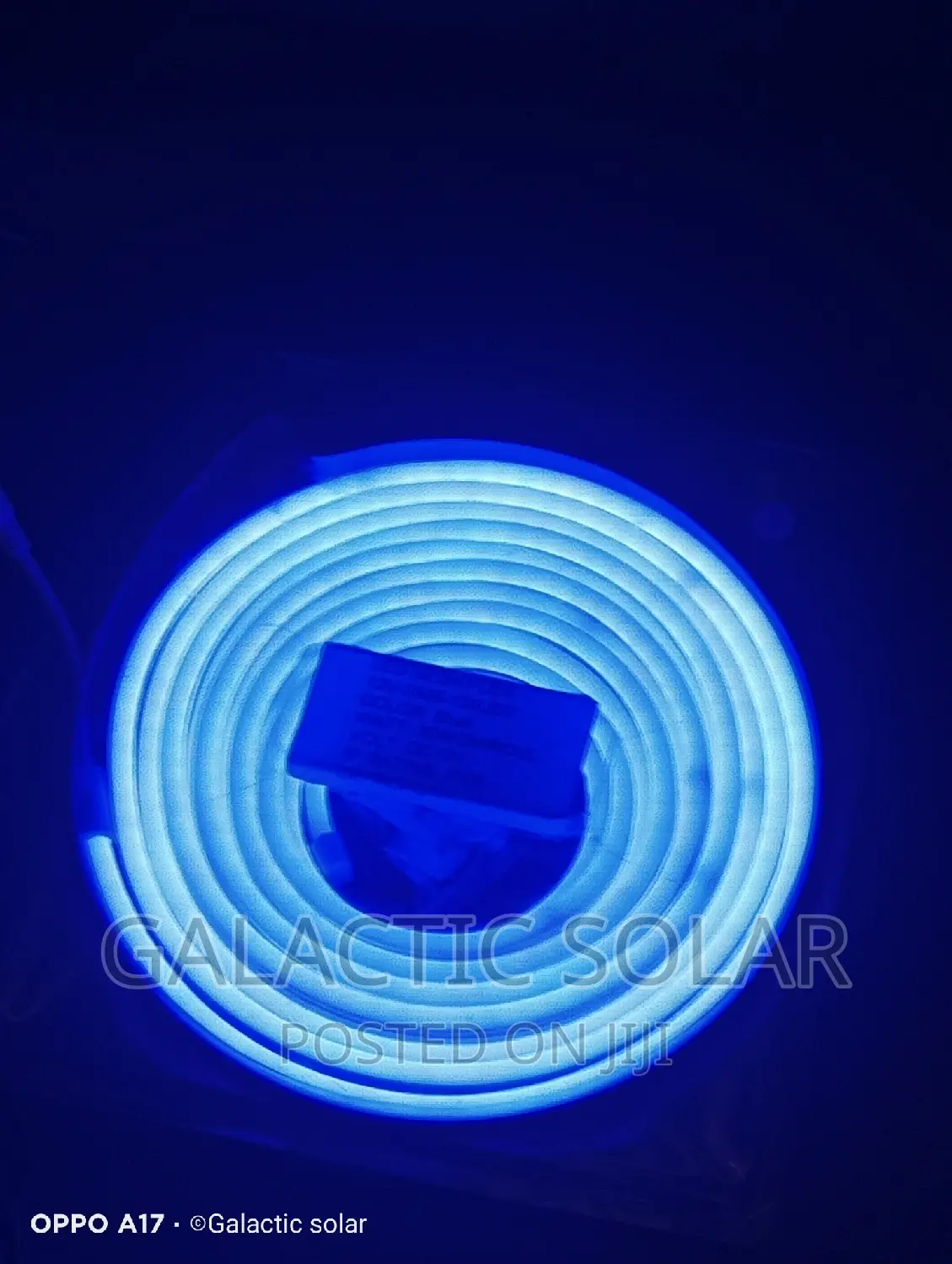 Neon Lights 12vdc